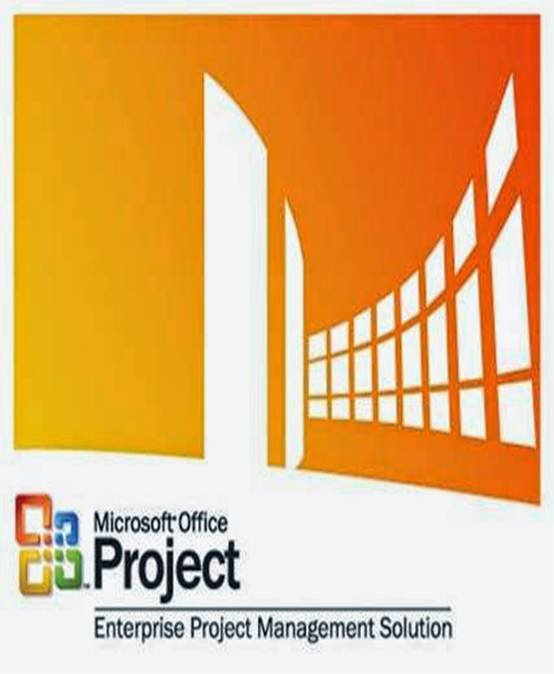 MS-PROJECT